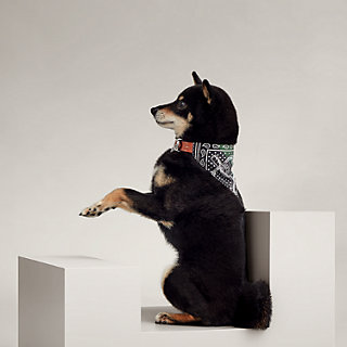 Eperon d'Or dog bandana, medium model | Hermès Canada